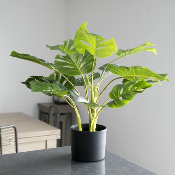 *Clearance* Artificial Tropical Monstera Tree in Black Pot 55cm/22in - A1292C