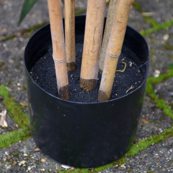 Artificial Bamboo Tree Five Stems in Pot 180cm