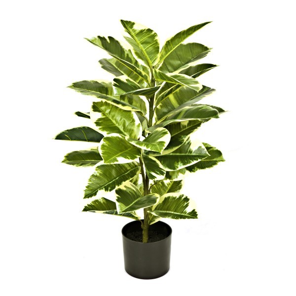 Artificial Real Touch Rubber Plant in Pot 75cm/2ft - A1131
