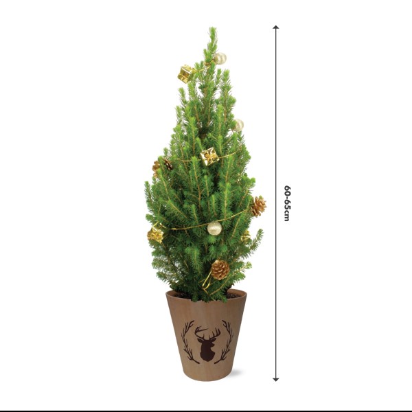 Real Living 60-65cm Picea Christmas Tree | Conifer with Gold Garland & Pinecones | Festive Reindeer Design Wood Pot | for Indoor & Outdoor, 60cm - GB1461