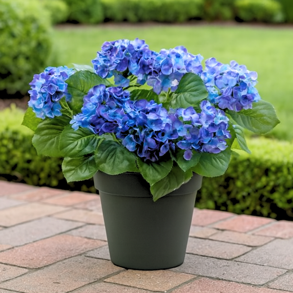 Artificial Blue Hydrangea in Black Pot 50cm/20in - A1354