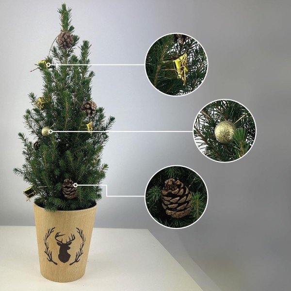 Real Living 60-65cm Picea Christmas Tree | Conifer with Gold Garland & Pinecones | Festive Reindeer Design Wood Pot | for Indoor & Outdoor, 60cm - GB1461