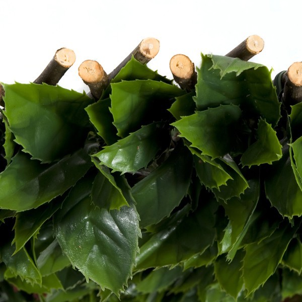 Artificial Expanding Green Wall Willow Trellis Fence with Red and Green Leaf Foliage (1m x 2m) - A1151