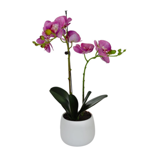 Elegant Double Stem Pink Real Touch Artificial Potted Orchid (46cm) in Round White Ceramic Pot A1179