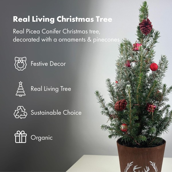 Real Living 60-65cm Picea Christmas Tree | Conifer Garland & Pinecones | Festive Reindeer Design Wood Pot | For Indoor & Outdoor, Red with Snow, 60cm - GB1466