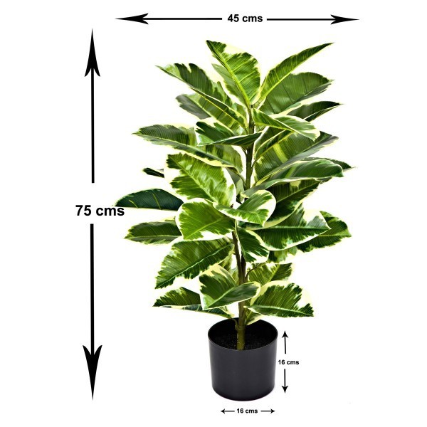 Artificial Real Touch Rubber Plant in Pot 75cm/2ft - A1131