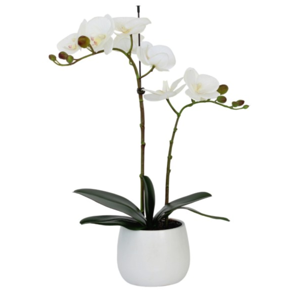 Elegant Double Stem White Real Touch Artificial Potted Orchid (46cm) in Round White Ceramic Pot A1041