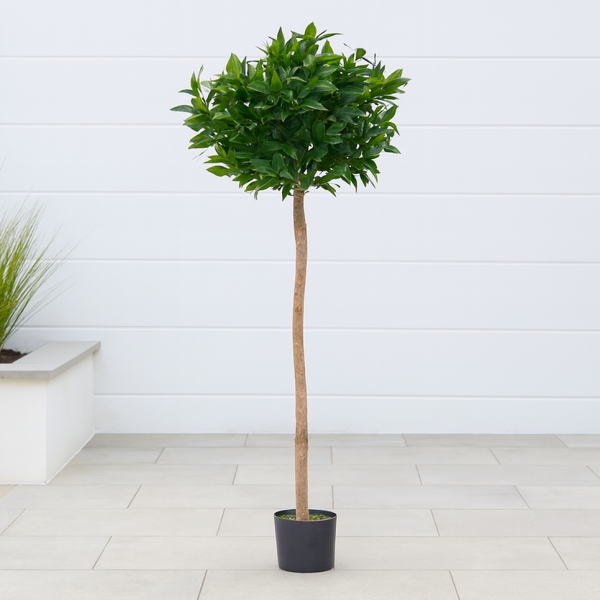Artificial Bay Tree With Real Wood Trunk, Natural Leaf and Brown Berries 5ft/150 cm - A1058