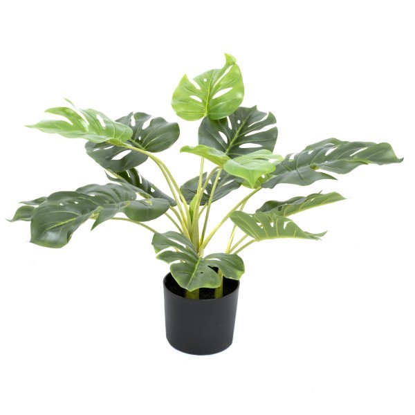 *Clearance* Artificial Tropical Monstera Tree in Black Pot 55cm/22in - A1292C