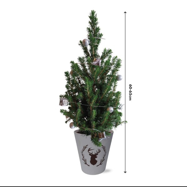 Real Living 60-65cm Picea Christmas Tree | Conifer with Silver Garland & Pinecones | Festive Reindeer Design White Wood Pot | for Indoor & Outdoor, 60cm - GB1462