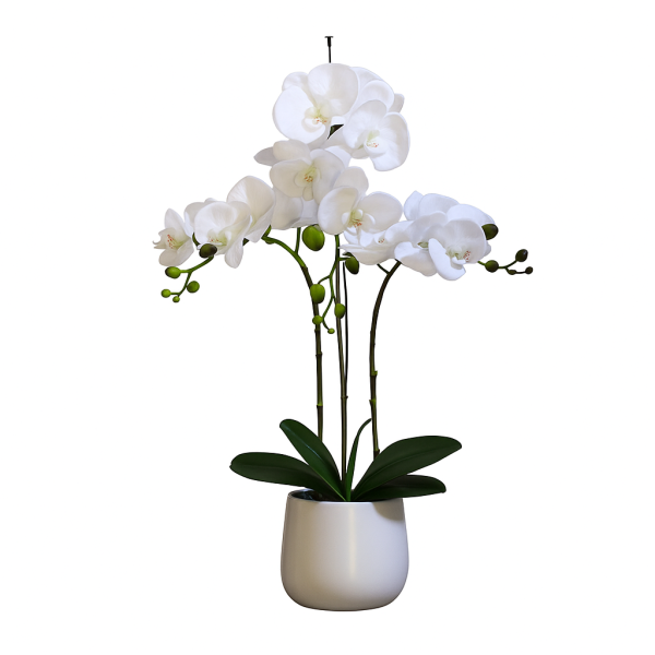 Elegant Large Triple Stem White Real Touch Artificial Potted Orchid (65cm) in Round White Ceramic Pot A1042