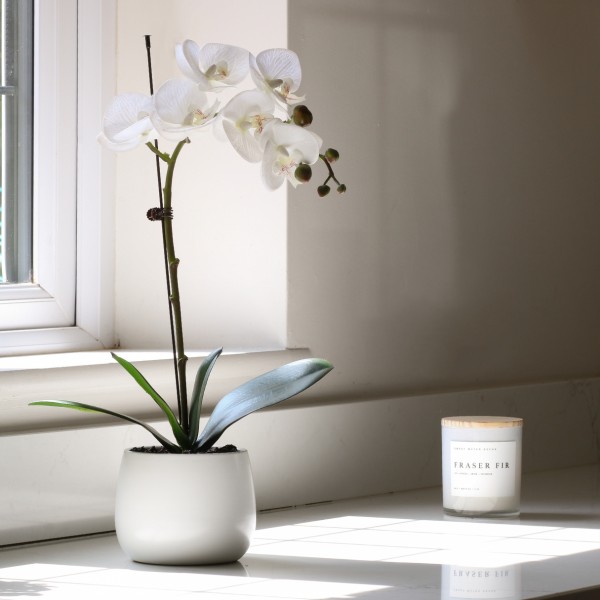 Elegant White Real Touch Artificial Orchid (46cm) in Round White Ceramic Pot A1040