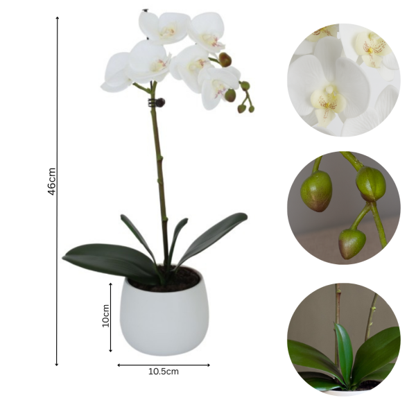 Elegant White Real Touch Artificial Orchid (46cm) in Round White Ceramic Pot A1040