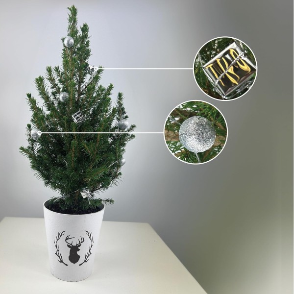 Real Living 60-65cm Picea Christmas Tree | Conifer with Silver Garland & Pinecones | Festive Reindeer Design White Wood Pot | for Indoor & Outdoor, 60cm - GB1462