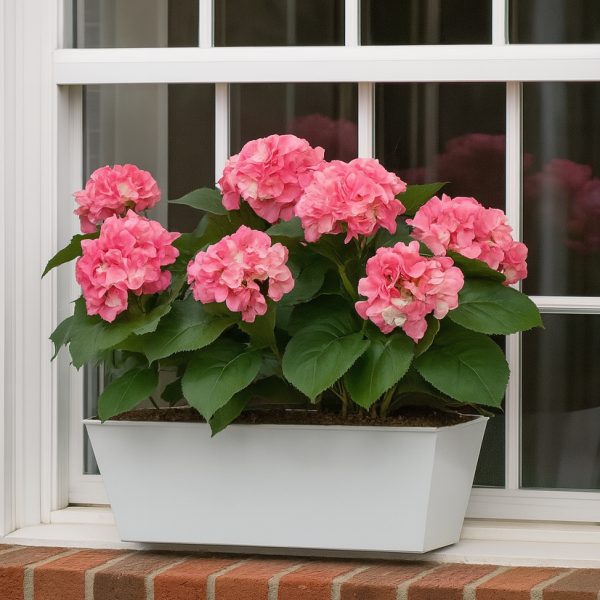 Artificial Pink Hydrangea in White Metal Window Box -A1384